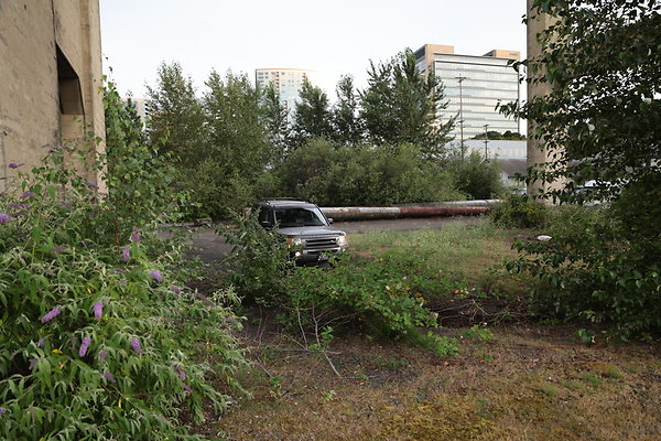 Zidell Field North 141
