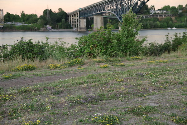 Zidell Field North 371