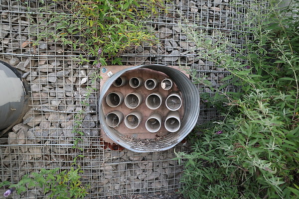 Zidell Field North 286