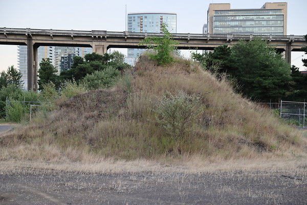 Zidell Field North 315