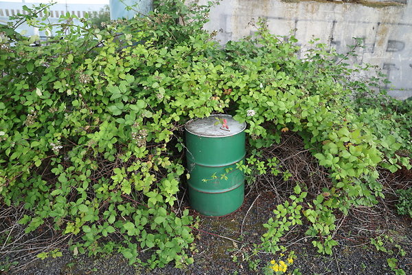 Zidell Field North 147