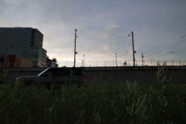 Zidell Field North 274