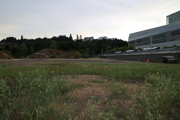 Zidell Field North 260