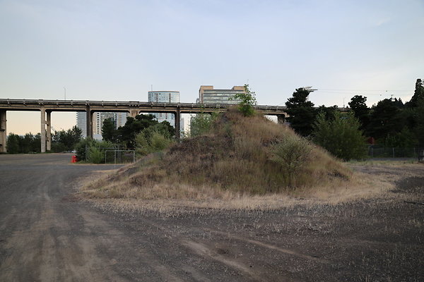 Zidell Field North 316