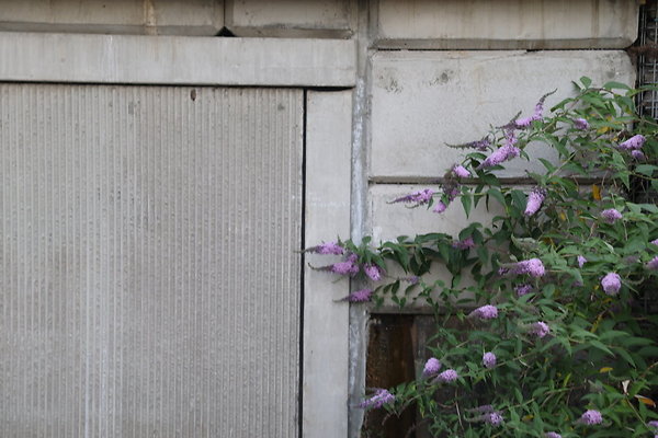 Zidell Field North 362