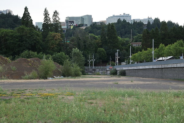 Zidell Field North 263