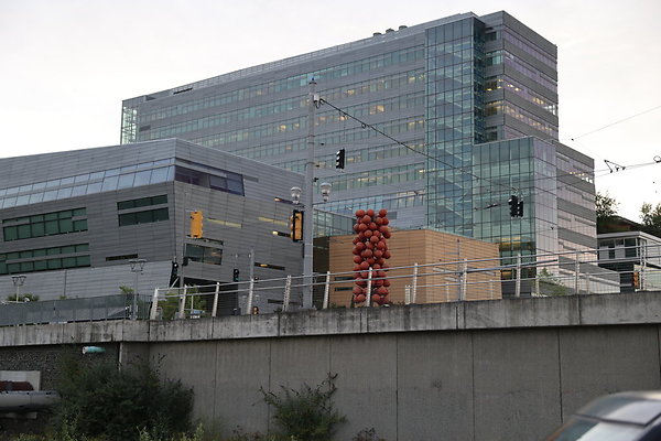 Zidell Field North 280