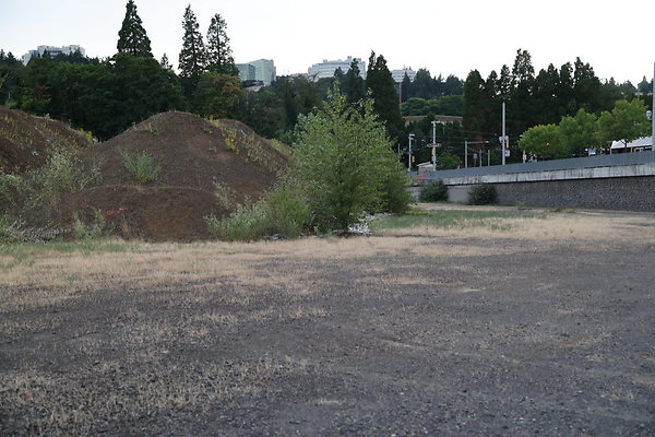 Zidell Field North 311