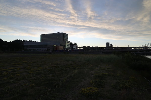 Zidell Field North 384