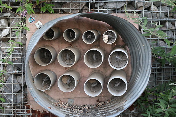 Zidell Field North 287