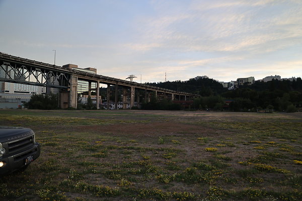 Zidell Field North 381