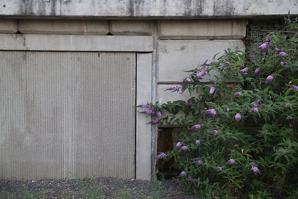 Zidell Field North 363