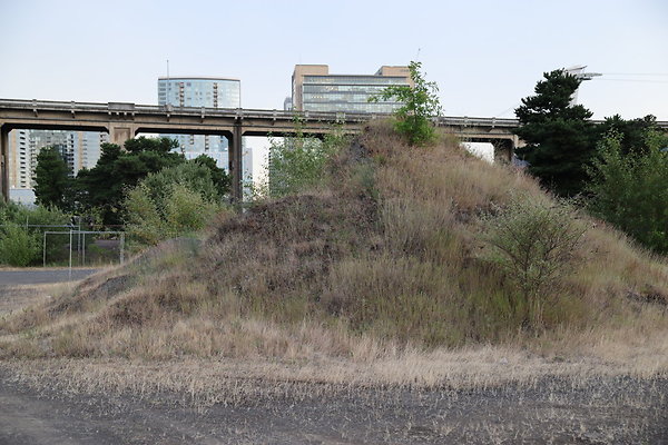 Zidell Field North 317