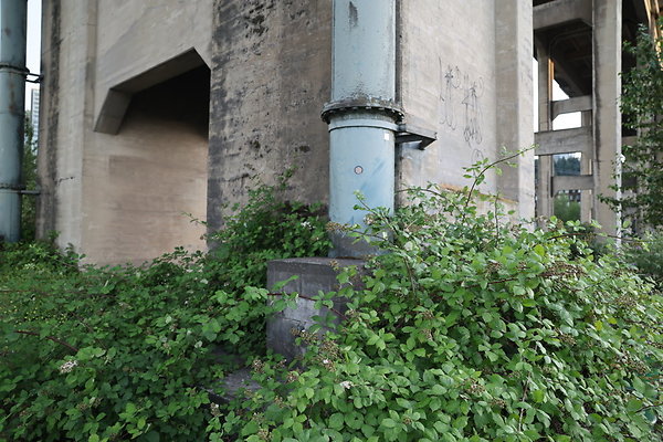 Zidell Field North 148