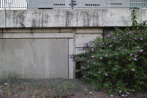 Zidell Field North 364