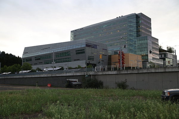 Zidell Field North 258