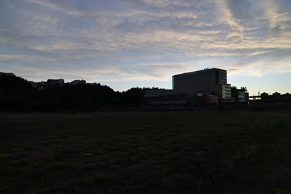 Zidell Field North 383