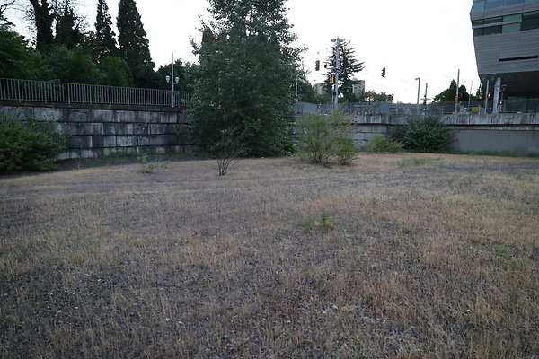 Zidell Field North 336