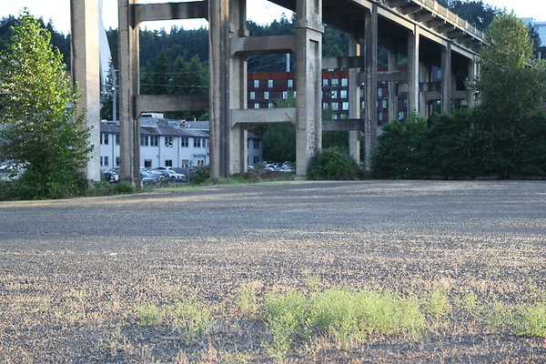Zidell Field North 064