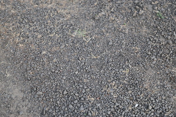 Zidell Field North 188