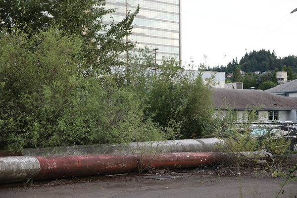 Zidell Field North 175