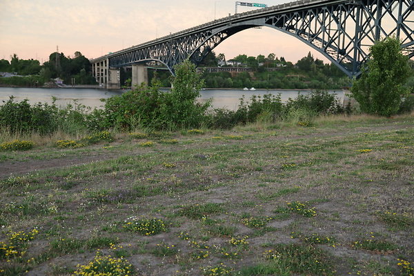 Zidell Field North 370
