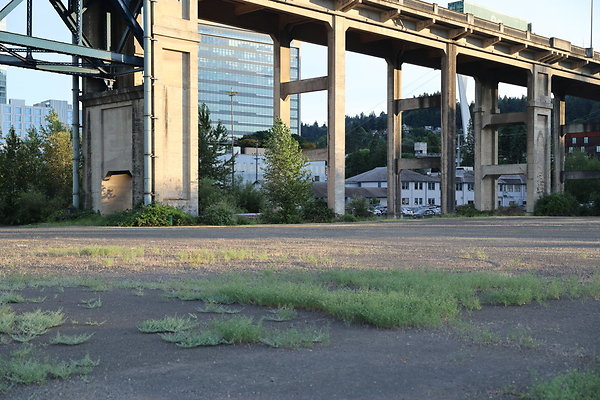 Zidell Field North 036