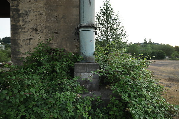 Zidell Field North 152