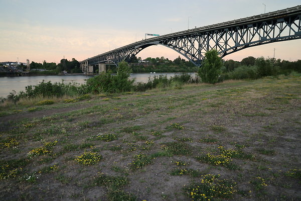 Zidell Field North 369