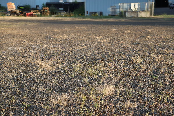 Zidell Field North 068