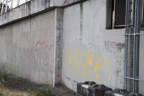 Zidell Field North 246