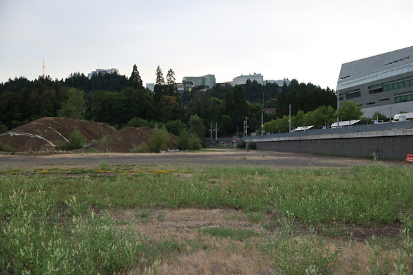 Zidell Field North 261