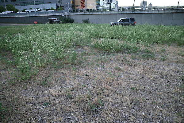 Zidell Field North 269