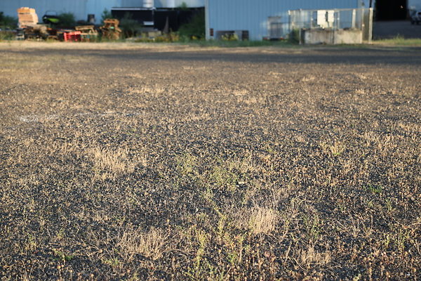 Zidell Field North 067