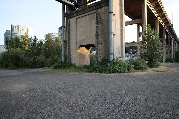 Zidell Field North 113