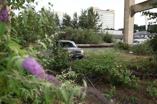 Zidell Field North 145