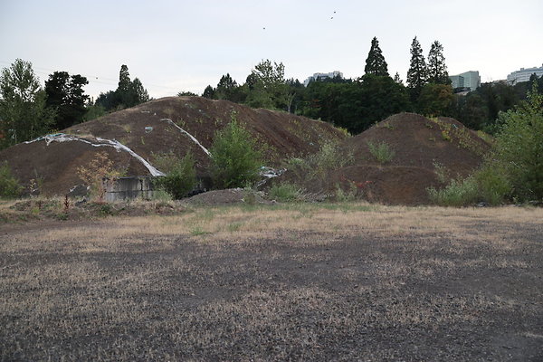 Zidell Field North 308