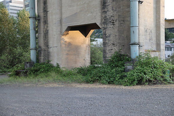 Zidell Field North 115