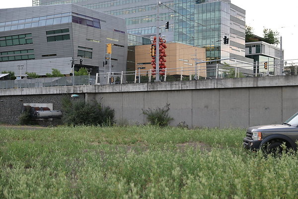 Zidell Field North 256