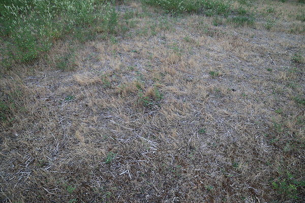 Zidell Field North 268