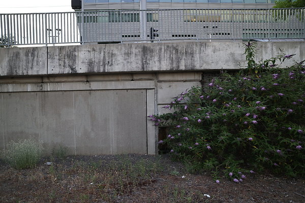 Zidell Field North 365