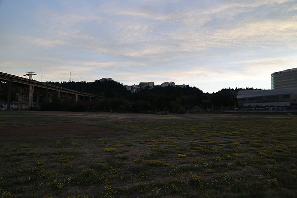 Zidell Field North 382