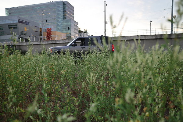 Zidell Field North 275