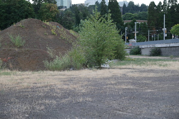 Zidell Field North 312