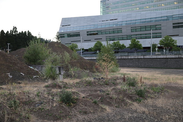 Zidell Field North 326