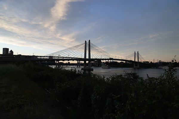 Zidell Field North 386