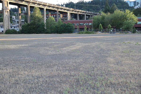 Zidell Field North 014