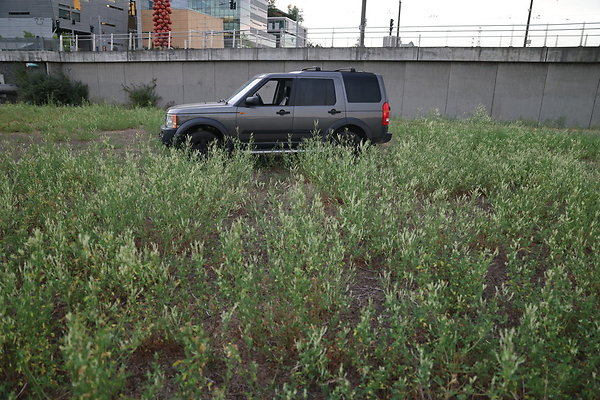 Zidell Field North 277