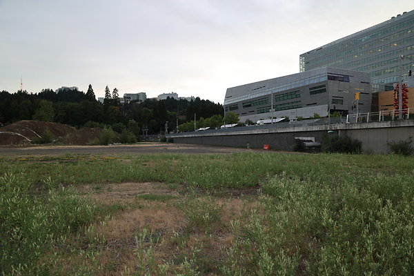 Zidell Field North 259