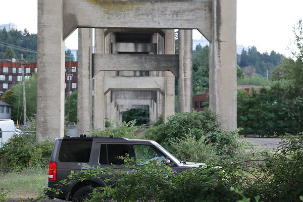 Zidell Field North 157